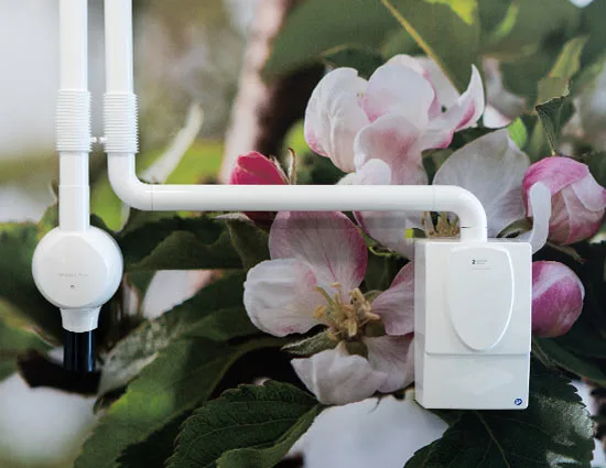 A white x-ray arm in front of a close-up photo of pink apple blossom